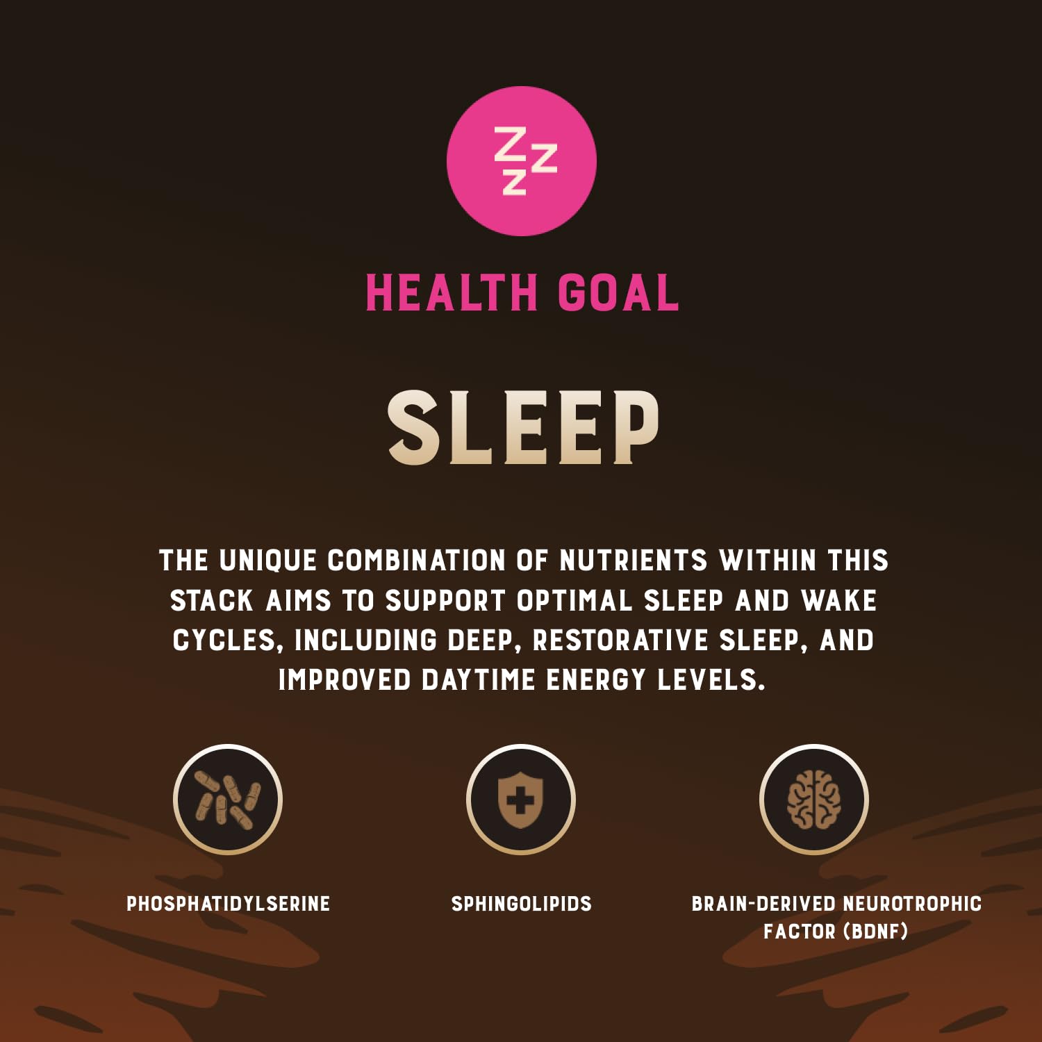 Sleep Stack Joint, Beauty & Cognitive Wellness Support