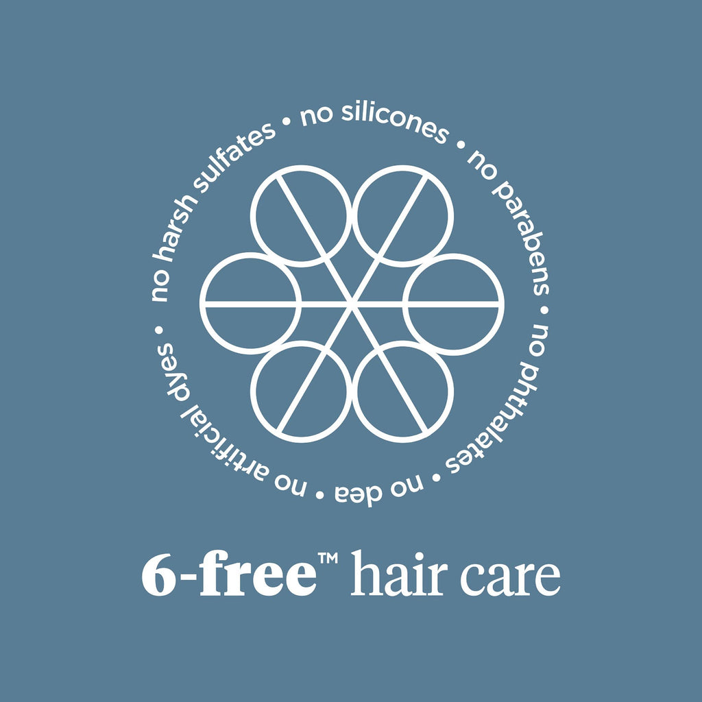 Briogeo Scalp Revival Charcoal + Tea Tree Scalp Treatment | Leave-In Serum