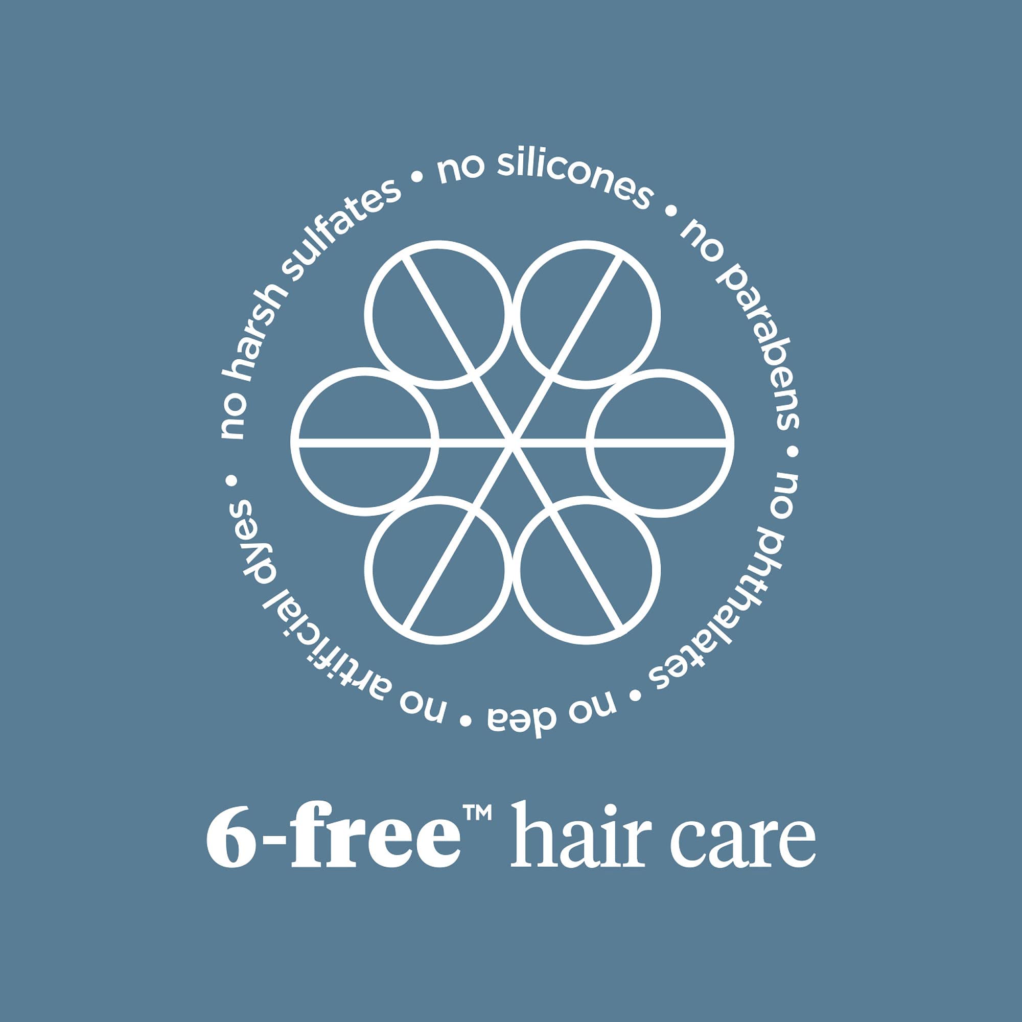 Briogeo Scalp Revival Charcoal + Tea Tree Scalp Treatment | Leave-In Serum
