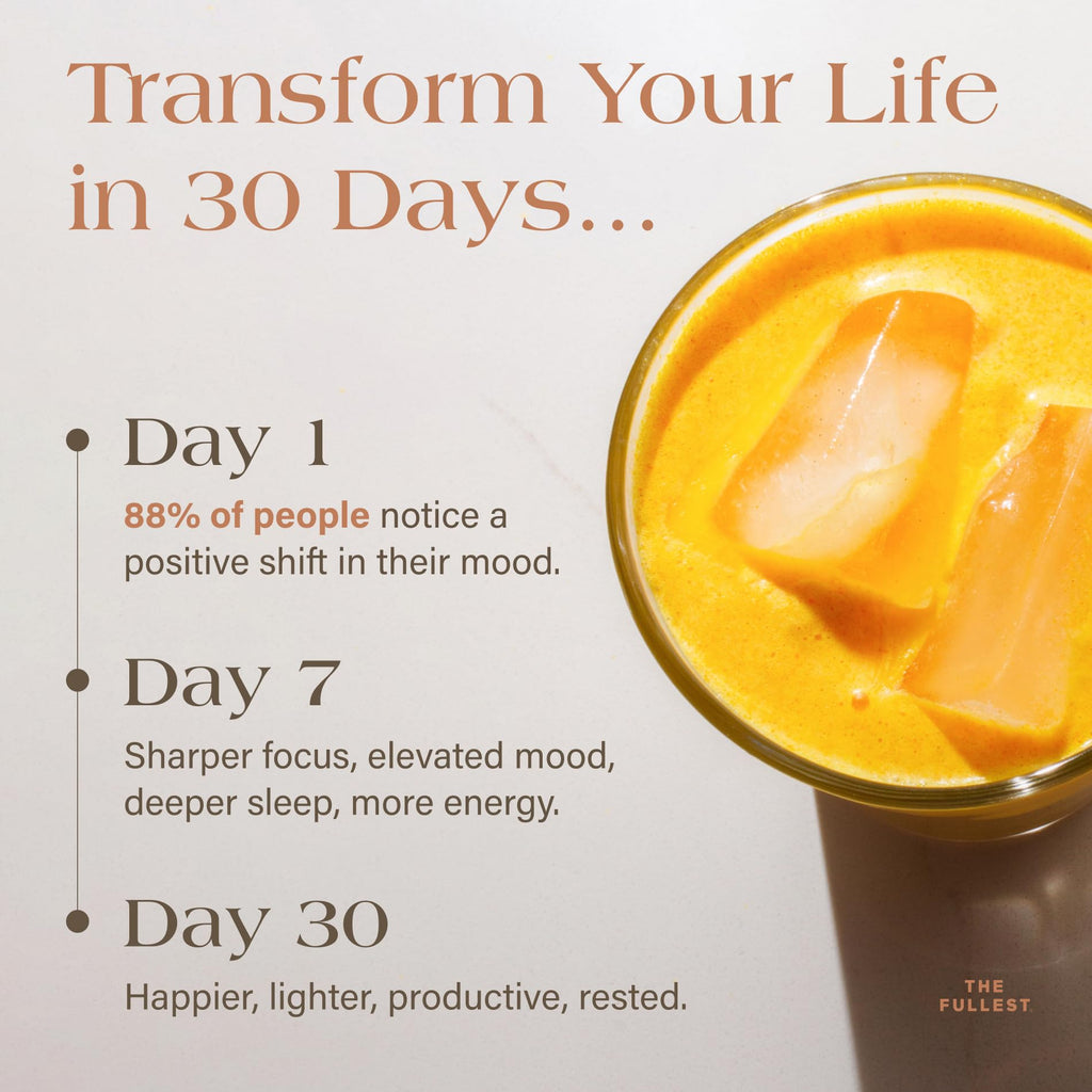 THE FULLEST Saffron Latte Mood & Sleep Wellness Powder