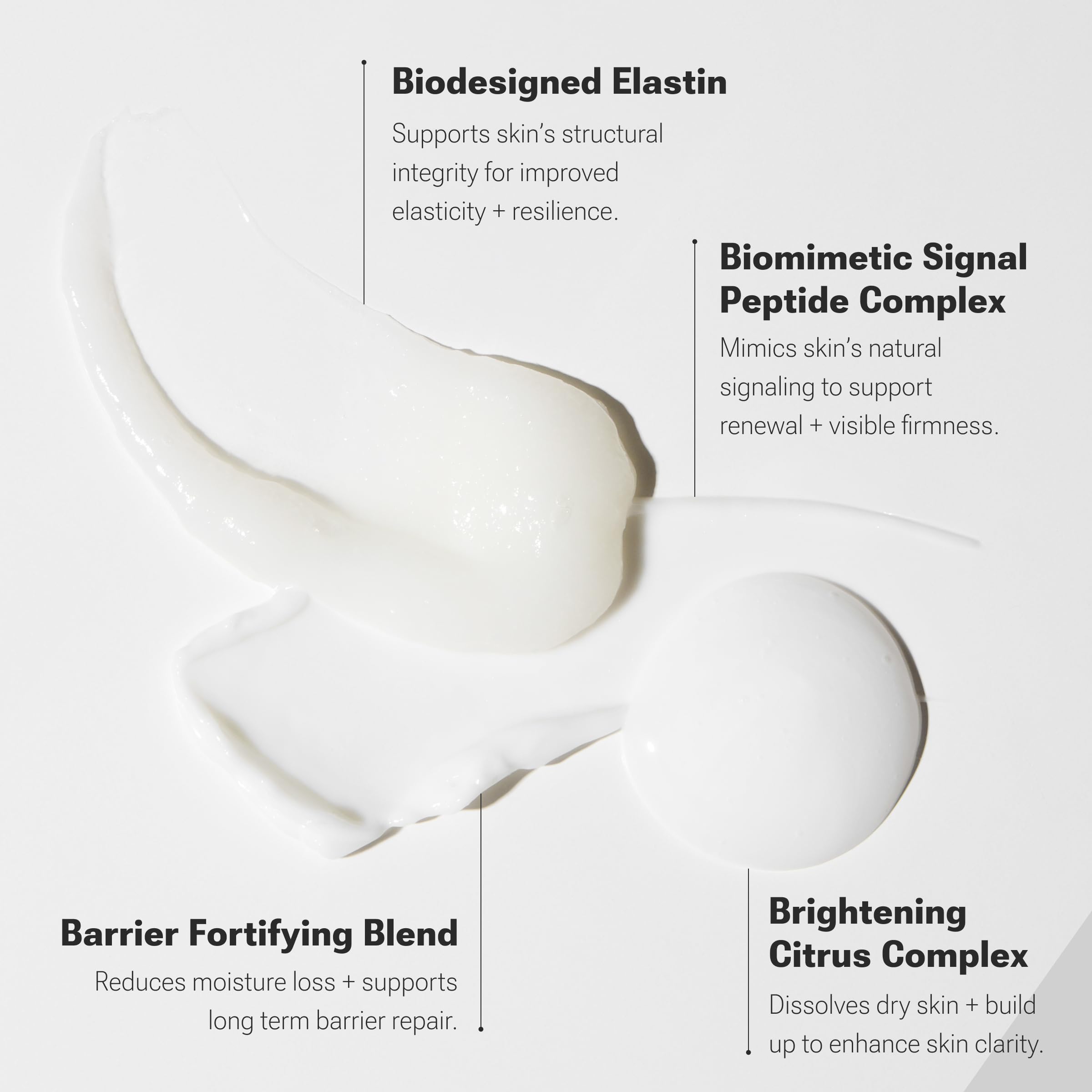 NULASTIN Dermal Rejuvenating Skincare System - Facial Cleanser, Moisturizer and Peptide Face Serum Trio to Support the Look of Firmness and Elasticity