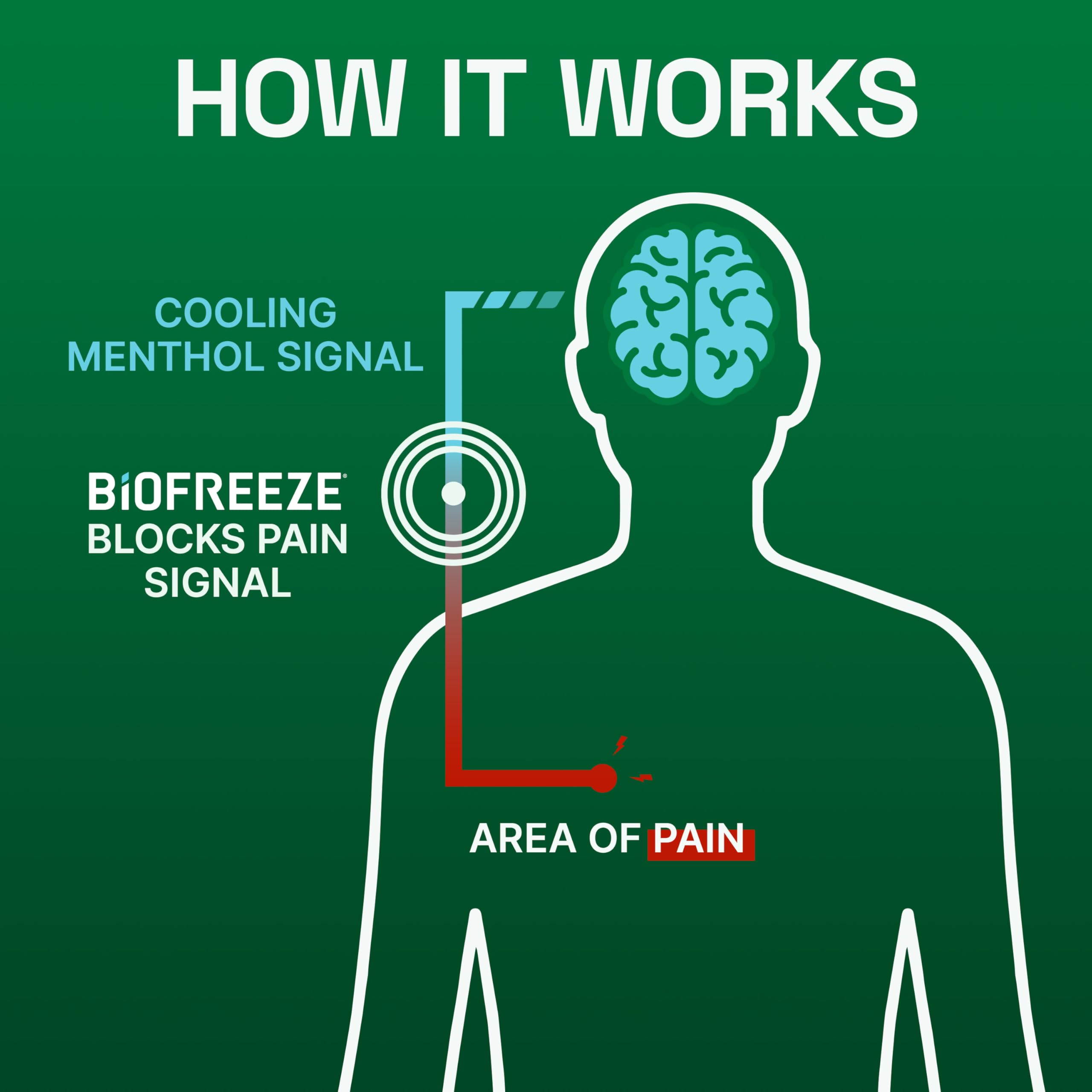 Biofreeze Menthol Pain Relief Roll-On, 3 oz, Pack of 3