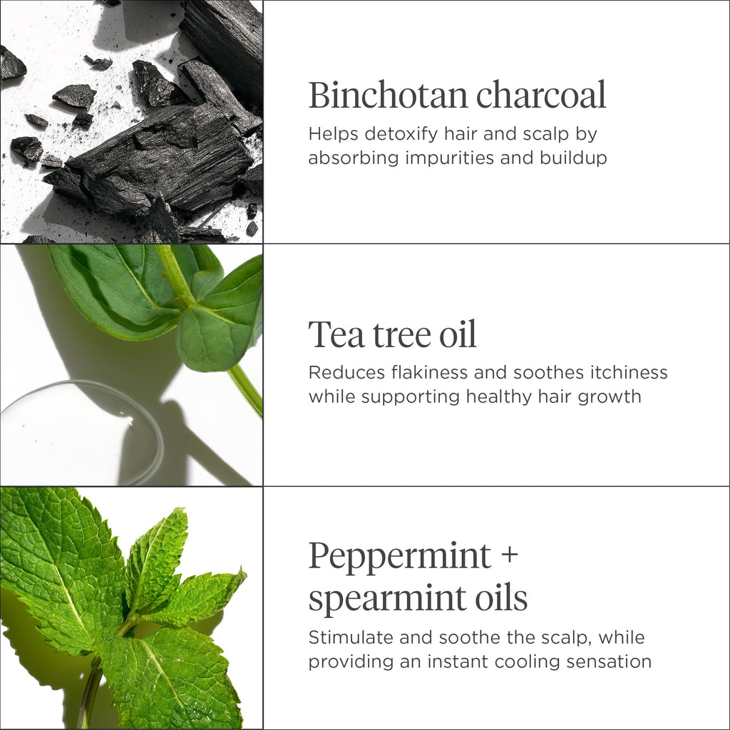 Briogeo Scalp Revival Charcoal + Tea Tree Scalp Treatment | Leave-In Serum