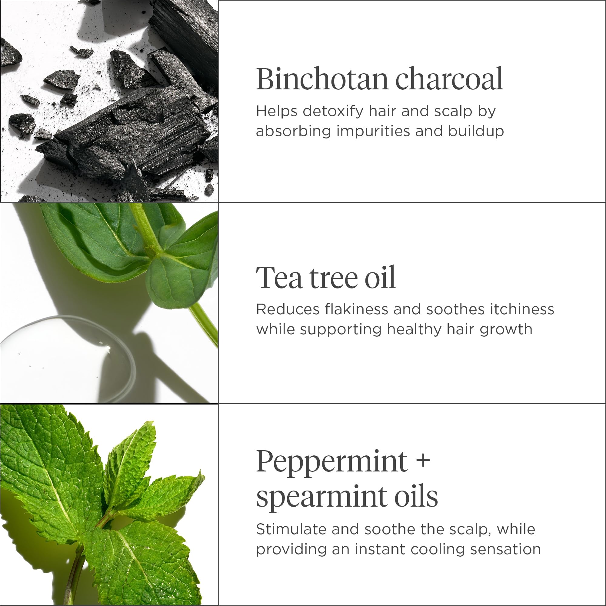 Briogeo Scalp Revival Charcoal + Tea Tree Scalp Treatment | Leave-In Serum